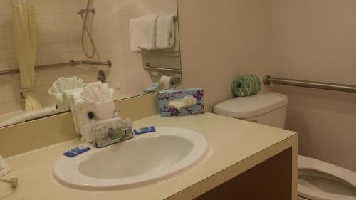 Guest House Inn Medical District near Texas Tech Univ - 화장실