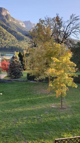 Appartamento ai Molini a Dimaro in ValdiSole