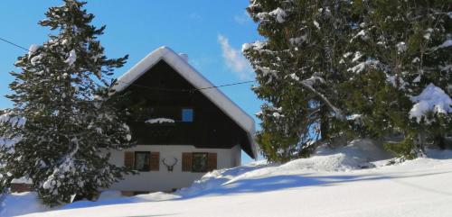 APARTMENT CHALET -BOHINJ- Pokljuka- Triglav National Park