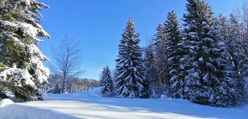 APARTMENT in CHALET BOHINJ - image 7