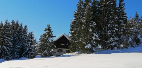 APARTMENT CHALET -BOHINJ- Pokljuka- Triglav National Park