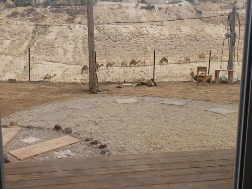 Moonlight Suite Arad צימר אור הירח, ערד in Арад
