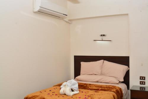 ASWAN NILE PALACE (swimming pool-rooftop-Nile view), Aswan