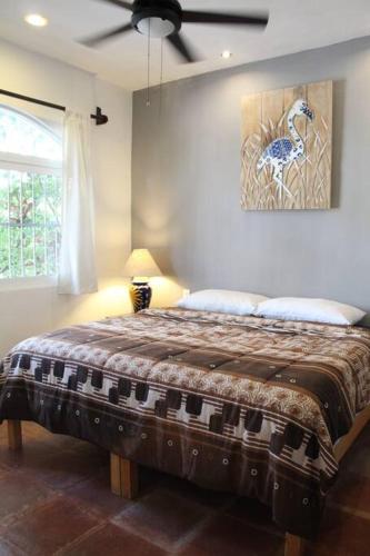 Mexican Villa,Private Pool, Palapa, High Internet Speed