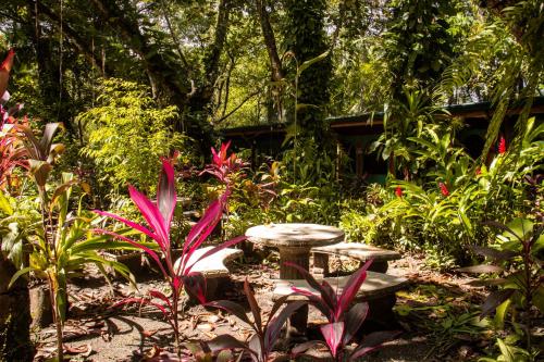 La Palapa Hut Nature Hostel