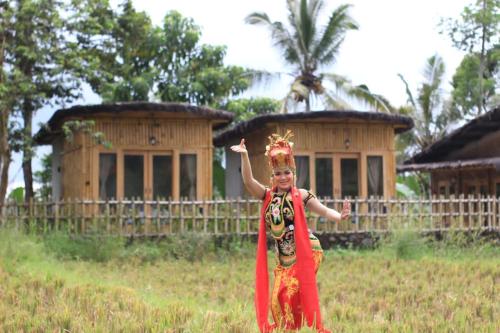 Sawah Ijen Banyuwangi