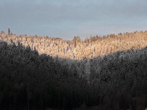 Ferienwohnung in ruhiger Waldrandlage, Bad Wildbad (foto 7)