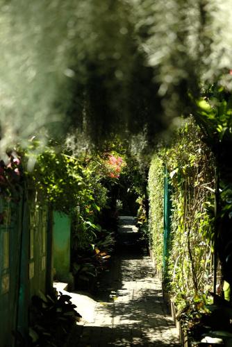 Hidden Garden in Ubud City Center w/ 2 Separate BR