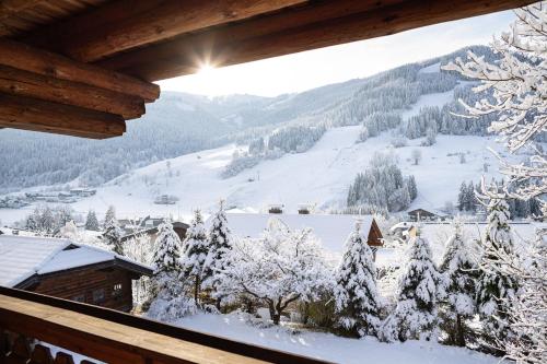 LUXURY Biochalet Charles - Apartment - Bad Kleinkirchheim