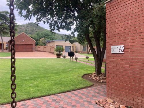 Euphoria Self Catering Home Euphoria Self Catering Home