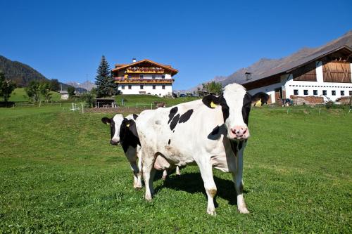 Schneiderhof, Urlaub auf dem Bauernhof