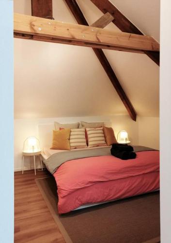 Amazing Loft in Namur