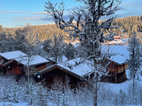 Måsåplassen Friisvegen Mountain Lodge