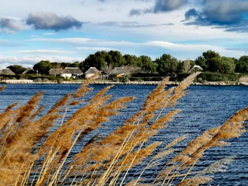 Appartement Marina Soleil Bleu - Vue sur le lac - Une chambre - Proche animations et commerces - Tou