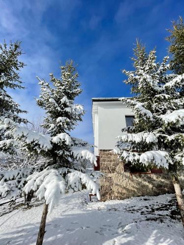 Kassandrov Guest House Ravnogor/ Касандрова къща Равногор in Bratsigovo