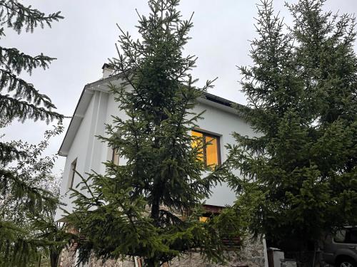 . Kassandrov Guest House Ravnogor/ Касандрова къща Равногор