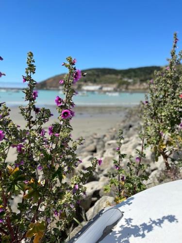 The Vicarage Boutique Bed and Breakfast Oamaru