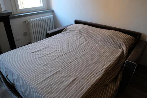 Zambo Chic, Boloňa (fotografie 3)