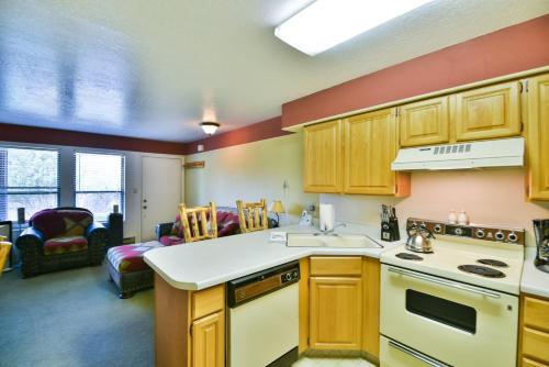 Wolf Lodge Condo #302 - image 6