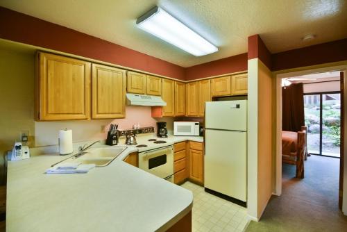 Wolf Lodge Condo #302 - image 8