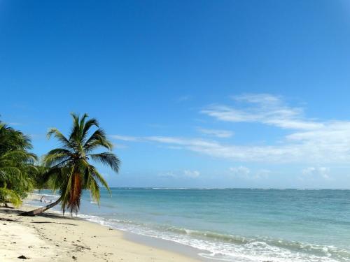 Beach, Caribbean Secret in Cahuita