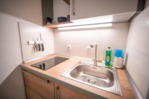 RR - Cozy Apartment - Parking - Kitchen - WIFI, Magdeburgo (foto 10)