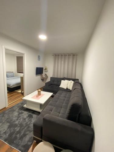 Apartman Arya Vlasic