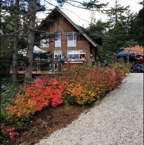 Hot Tub Cool Views: Roaring Creek Cabin detail