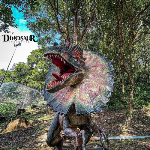 TC Maya Abaya Hotel TC Maya Abaya Hotel