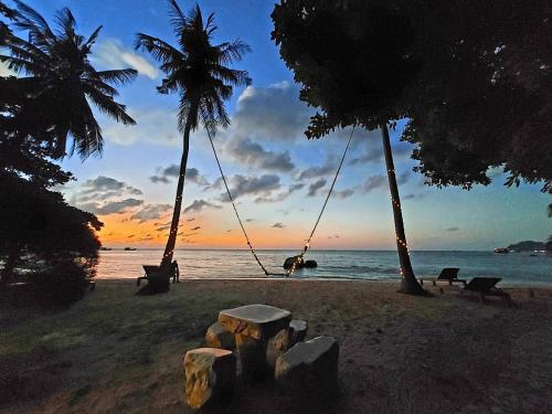 Koh Tao Beach Club