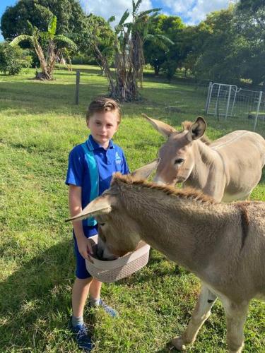 Pinbarren Green Lodges Noosa