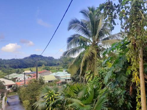 Maison de 2 chambres avec jardin clos et wifi a Morne a l'Eau