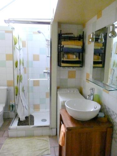 Bathroom, Maison d'une chambre avec jardin amenage et wifi a Villabe in Ormoy