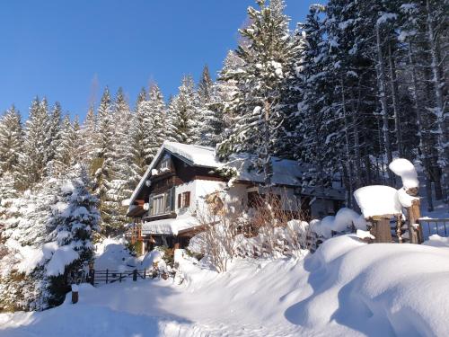 Alm-Ferienhaus Gaisegg am Klippitztörl in Bad St. Leonhard im Lavanttal, Österreich