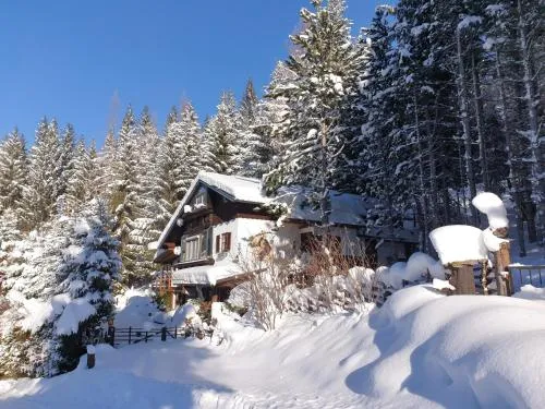 Alm-Ferienhaus Gaisegg am Klippitztörl in Bad St. Leonhard im Lavanttal, Österreich
