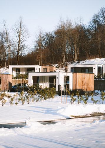 Deluxe Two-bedroom Mobile Home