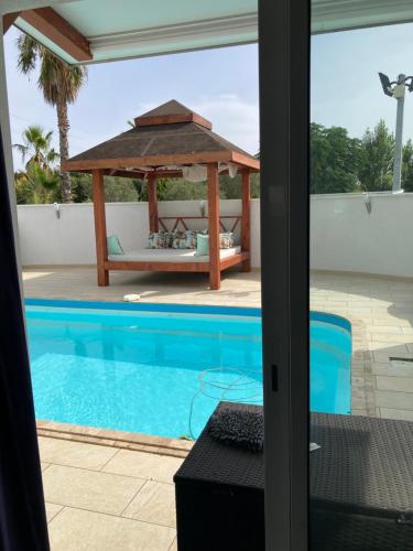 Swimming pool, Villa Arbore in Agde