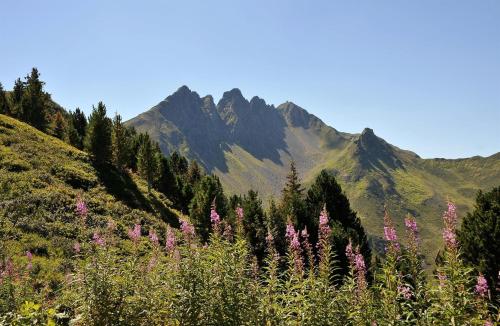 Lodge Schönfeld