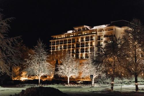 Hotel Alexandra Loen - image 13