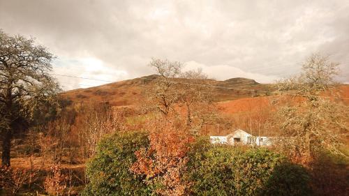 Orchy Bank House