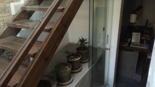 Domus Studios - image 10