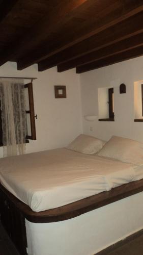 Domus Studios - image 14
