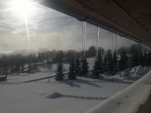 Skats, Apartmán pod Pustým vrchem (Apartman pod Pustym vrchem) in Riki