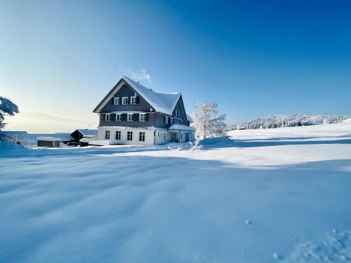 Alpenloge Boutique Hotel - Scheidegg