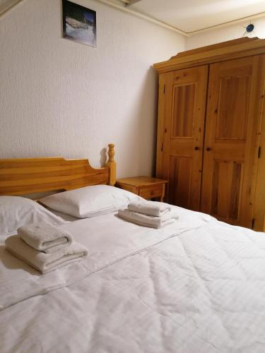 Guest House Villa Rankovic - image 8