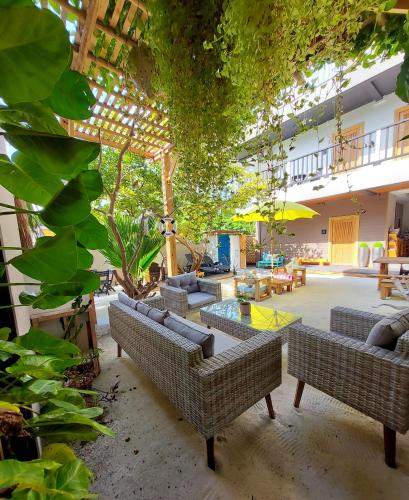 Palms retreat  in Goidhoo Atoll