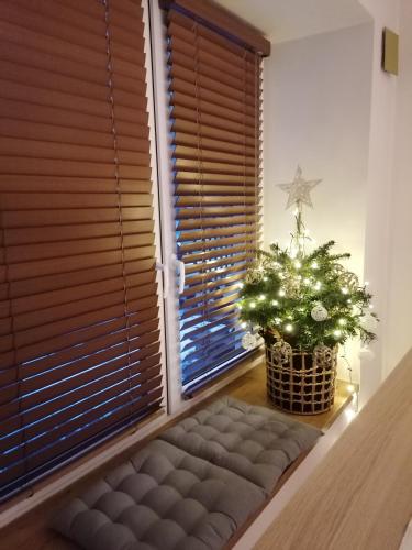 Apartament DeLux Aleja NMP 8 - Free parking