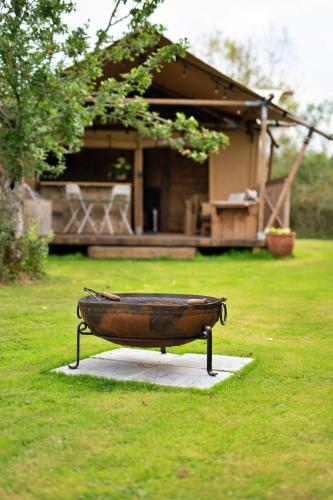 Rusty Lane, Safari Lodge