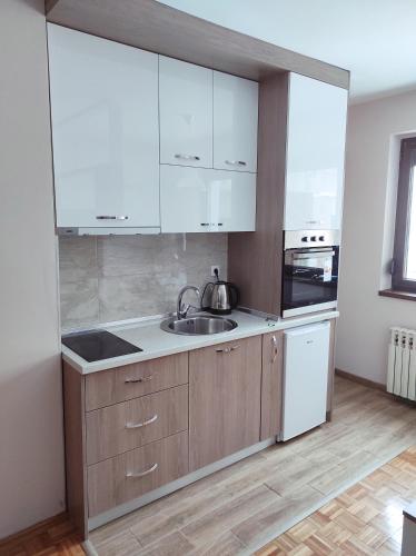 Apartman Stanišić Pale (Apartman Stanisic Pale) in Pale