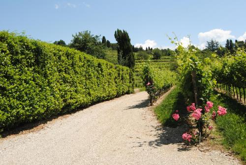 Agriturismo Giorgio Colutta